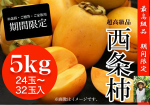 超高級品 西条柿（5kg 24玉～32玉入）