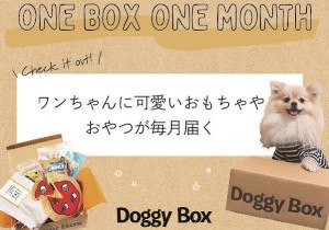 愛犬向けおもちゃとおやつの定期便サービス Doggy Box